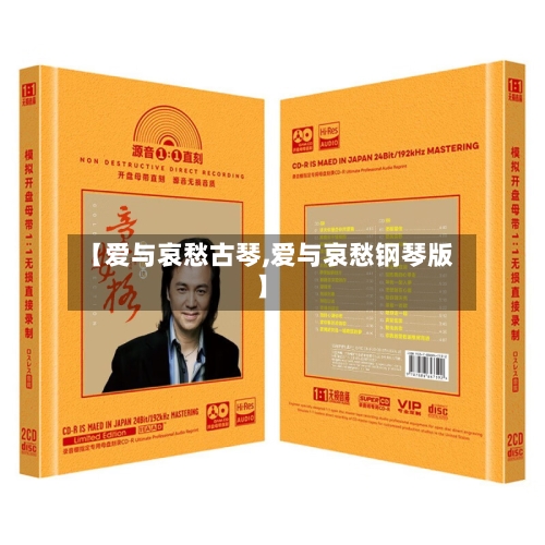 【爱与哀愁古琴,爱与哀愁钢琴版】-第3张图片