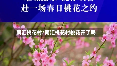 南汇桃花村/南汇桃花村桃花开了吗-第2张图片
