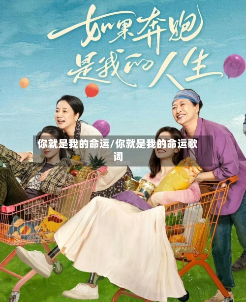 你就是我的命运/你就是我的命运歌词-第2张图片