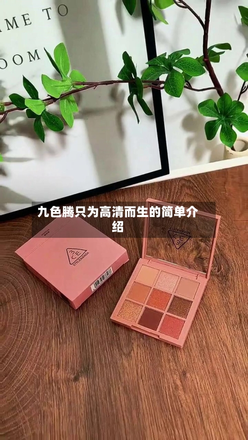 九色腾只为高清而生的简单介绍-第2张图片