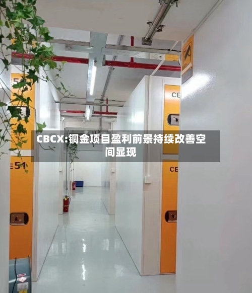 CBCX:铜金项目盈利前景持续改善空间显现-第3张图片