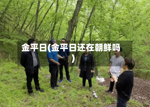 金平日(金平日还在朝鲜吗)-第2张图片