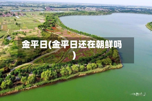 金平日(金平日还在朝鲜吗)-第1张图片