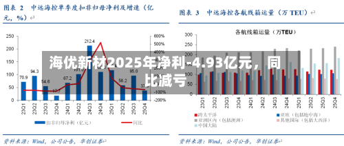 海优新材2025年净利-4.93亿元	，同比减亏-第1张图片