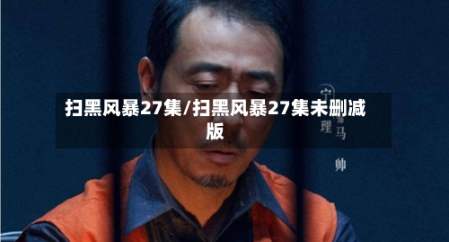 扫黑风暴27集/扫黑风暴27集未删减版-第3张图片