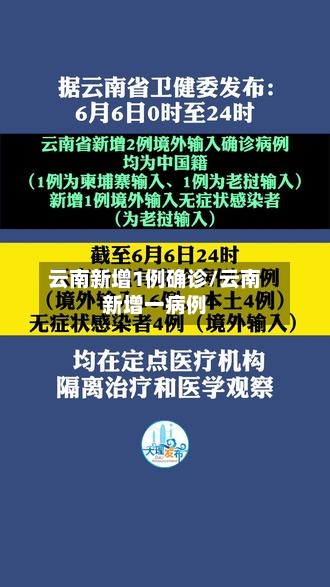 云南新增1例确诊/云南新增一病例-第2张图片