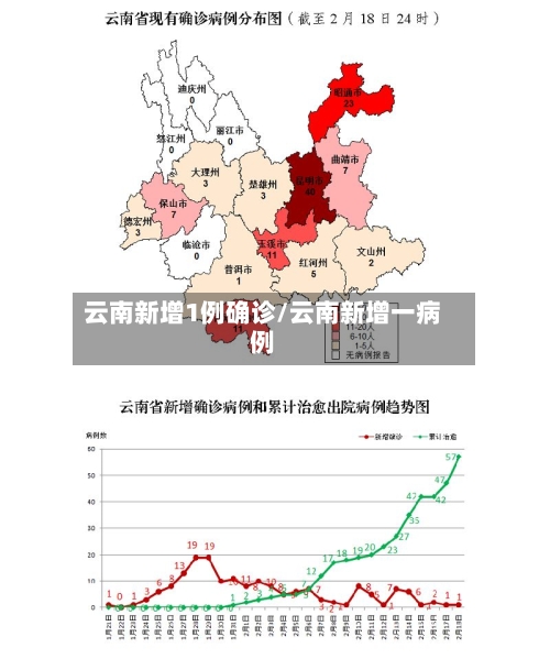 云南新增1例确诊/云南新增一病例-第1张图片