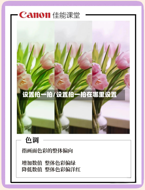 设置拍一拍/设置拍一拍在哪里设置-第1张图片