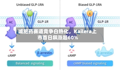减肥药赛道竞争白热化，Kailera上市首日飙涨超60%-第3张图片