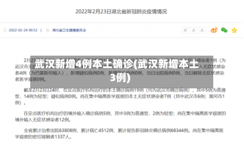 武汉新增4例本土确诊(武汉新增本土3例)-第1张图片