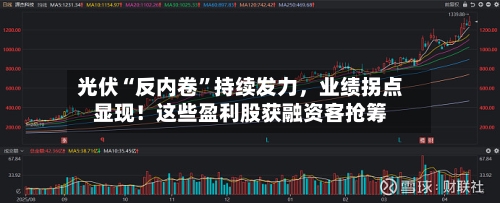 光伏“反内卷	”持续发力	，业绩拐点显现！这些盈利股获融资客抢筹-第1张图片