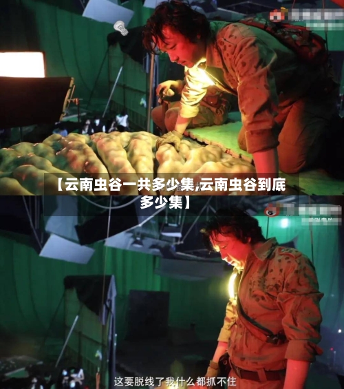 【云南虫谷一共多少集,云南虫谷到底多少集】-第2张图片