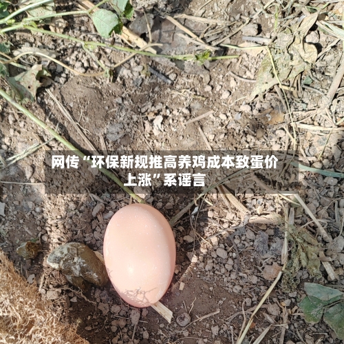 网传“环保新规推高养鸡成本致蛋价上涨”系谣言-第3张图片