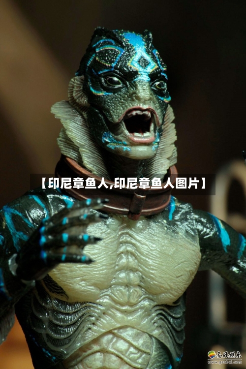 【印尼章鱼人,印尼章鱼人图片】-第3张图片