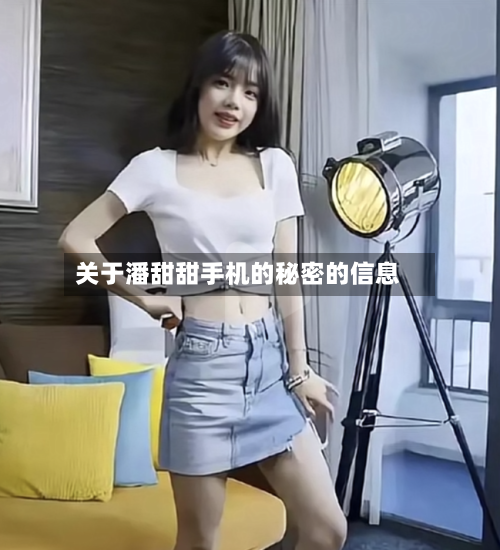 关于潘甜甜手机的秘密的信息-第3张图片