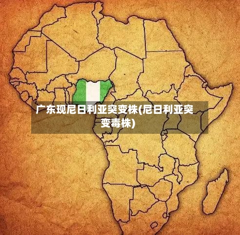 广东现尼日利亚突变株(尼日利亚突变毒株)-第3张图片