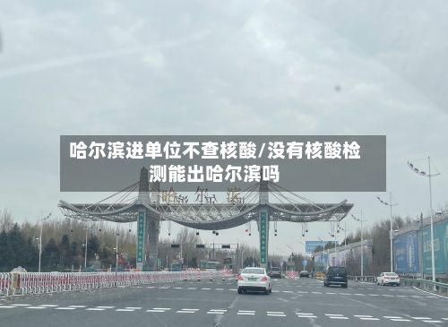 哈尔滨进单位不查核酸/没有核酸检测能出哈尔滨吗-第2张图片