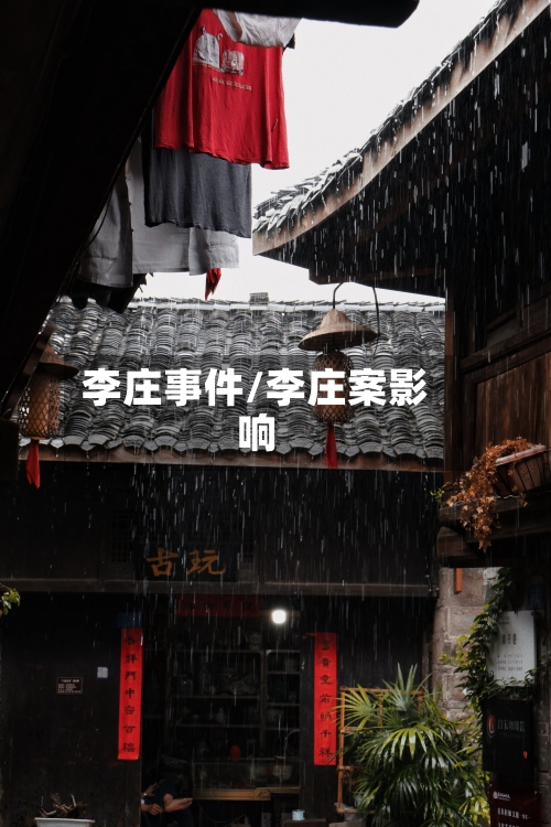 李庄事件/李庄案影响-第2张图片