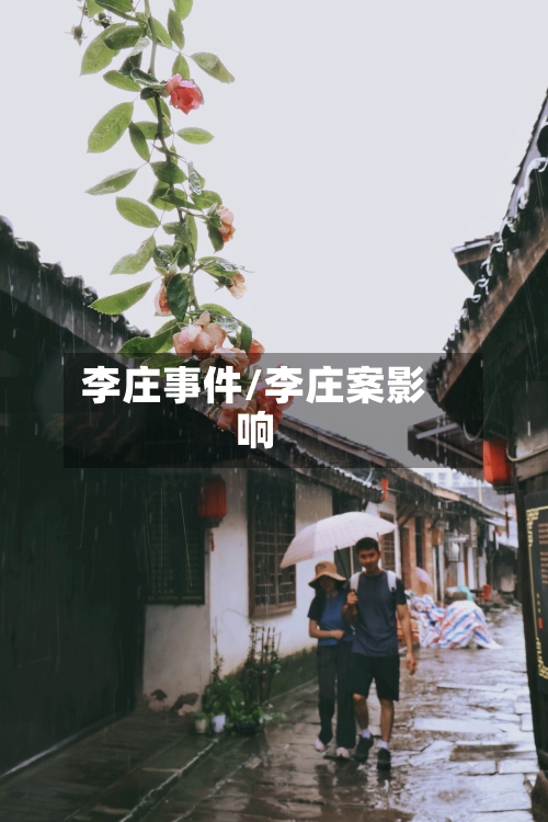 李庄事件/李庄案影响-第1张图片