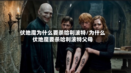 伏地魔为什么要杀哈利波特/为什么伏地魔要杀哈利波特父母-第1张图片