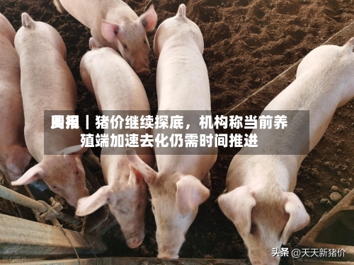费用周报｜猪价继续探底，机构称当前养殖端加速去化仍需时间推进-第1张图片