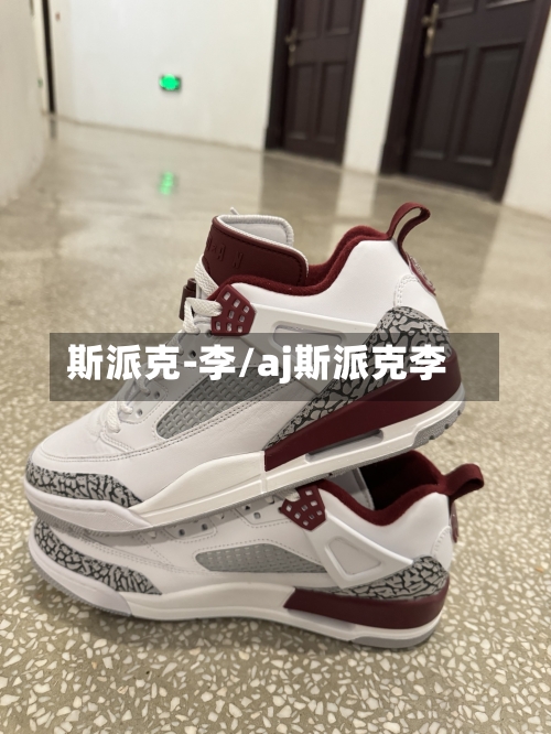 斯派克-李/aj斯派克李-第1张图片