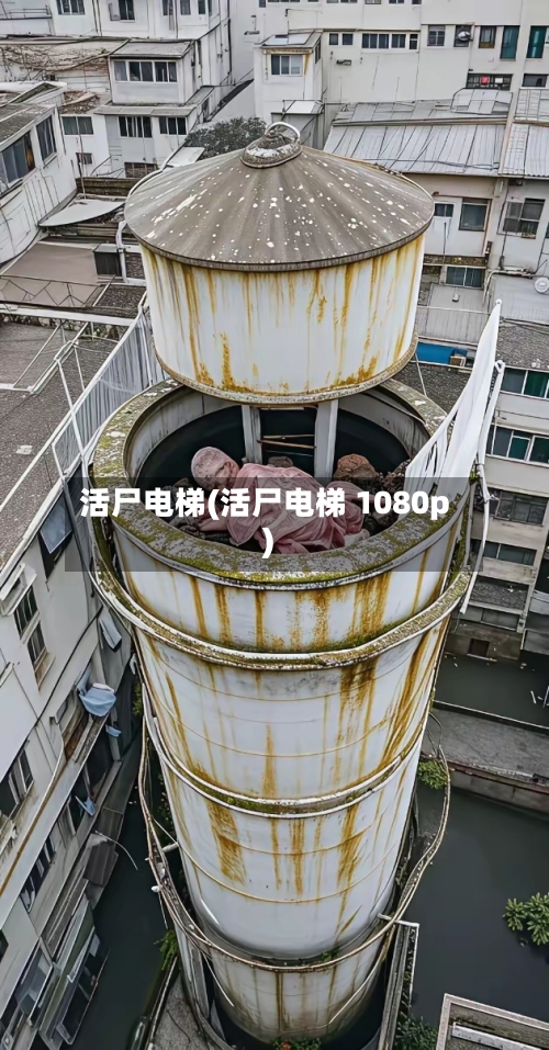 活尸电梯(活尸电梯 1080p)-第3张图片