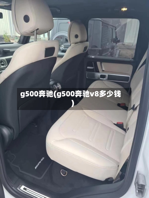 g500奔驰(g500奔驰v8多少钱)-第1张图片