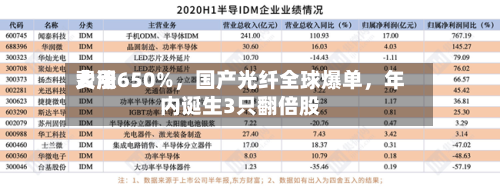 费用大涨650%，国产光纤全球爆单，年内诞生3只翻倍股-第3张图片