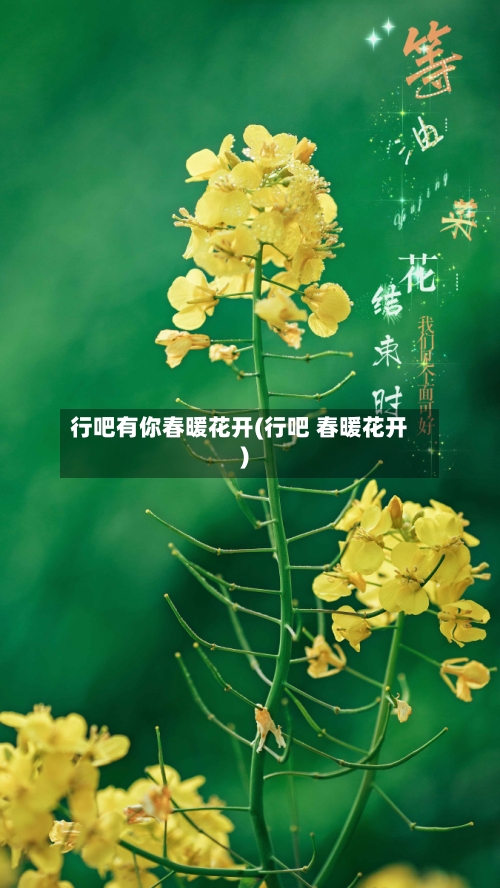 行吧有你春暖花开(行吧 春暖花开)-第2张图片
