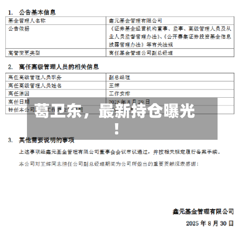 葛卫东，最新持仓曝光！-第2张图片