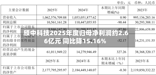 颀中科技2025年度归母净利润约2.66亿元 同比降15.16%-第1张图片