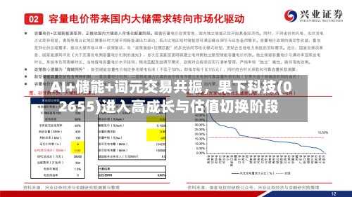 AI+储能+词元交易共振，果下科技(02655)进入高成长与估值切换阶段-第3张图片