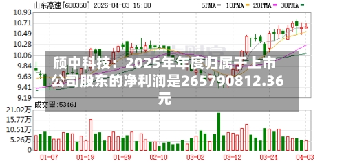 颀中科技：2025年年度归属于上市公司股东的净利润是265790812.36元-第1张图片