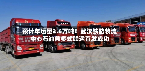 预计年运量3.6万吨！武汉铁路物流中心石油焦多式联运首发成功-第2张图片