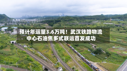预计年运量3.6万吨！武汉铁路物流中心石油焦多式联运首发成功-第3张图片