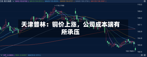 天津普林：铜价上涨，公司成本端有所承压-第2张图片