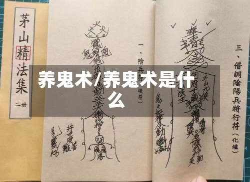 养鬼术/养鬼术是什么-第1张图片