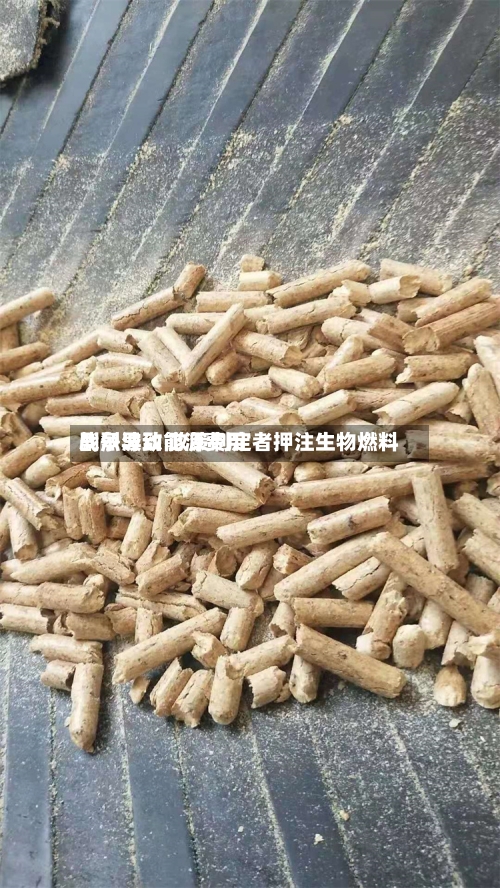 战争导致能源费用剧烈波动 政策制定者押注生物燃料-第1张图片