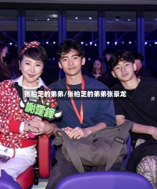 张柏芝的弟弟/张柏芝的弟弟张豪龙-第2张图片