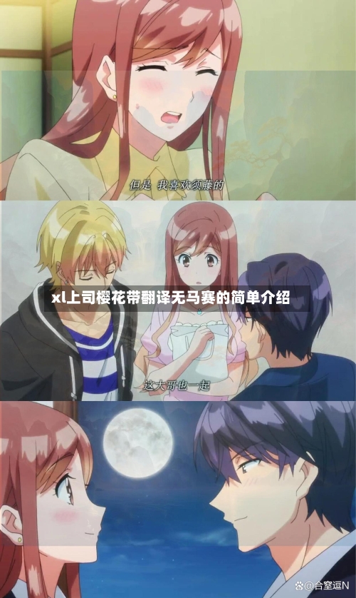 xl上司樱花带翻译无马赛的简单介绍-第2张图片
