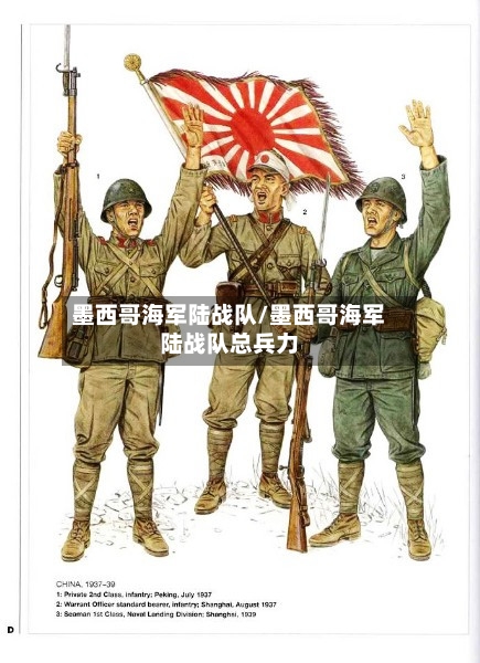 墨西哥海军陆战队/墨西哥海军陆战队总兵力-第1张图片