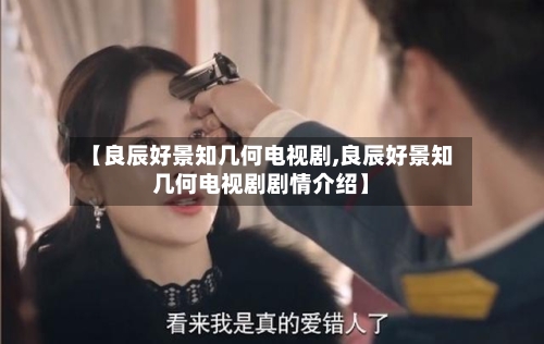 【良辰好景知几何电视剧,良辰好景知几何电视剧剧情介绍】-第3张图片