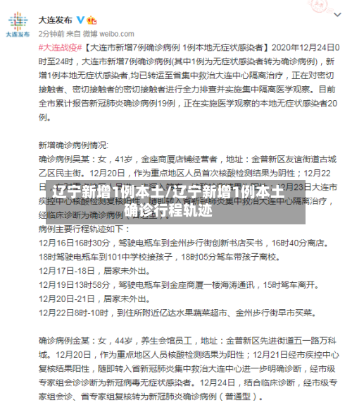 辽宁新增1例本土/辽宁新增1例本土确诊行程轨迹-第3张图片