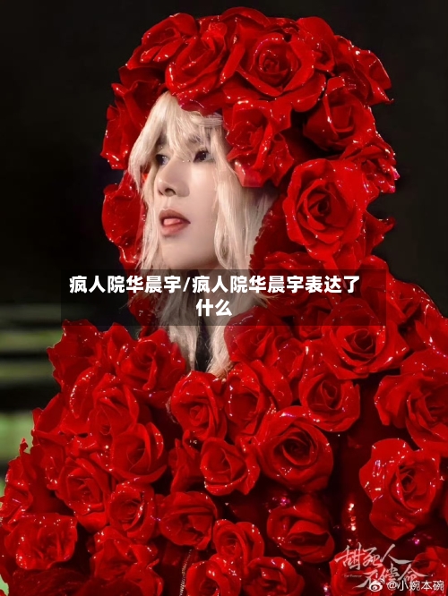 疯人院华晨宇/疯人院华晨宇表达了什么-第2张图片