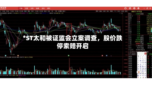 *ST太和被证监会立案调查	，股价跌停索赔开启-第2张图片