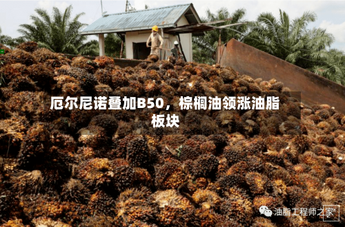 厄尔尼诺叠加B50	，棕榈油领涨油脂板块-第2张图片
