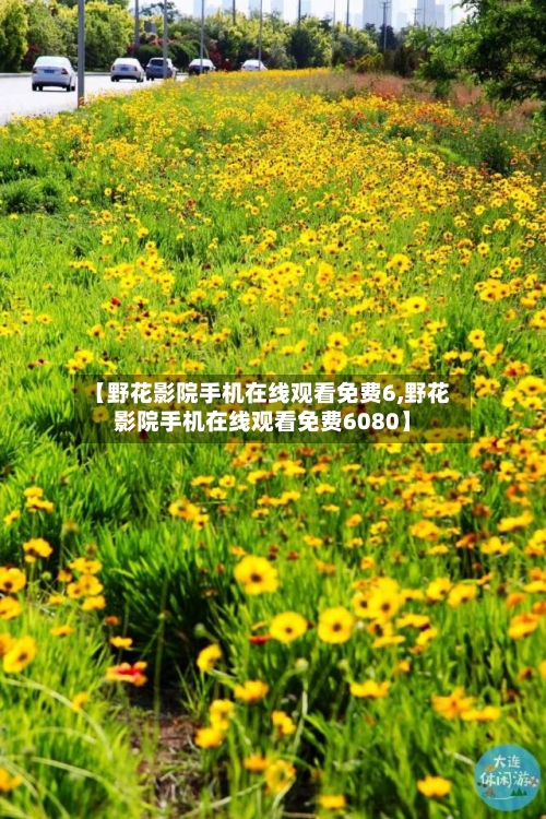 【野花影院手机在线观看免费6,野花影院手机在线观看免费6080】-第3张图片