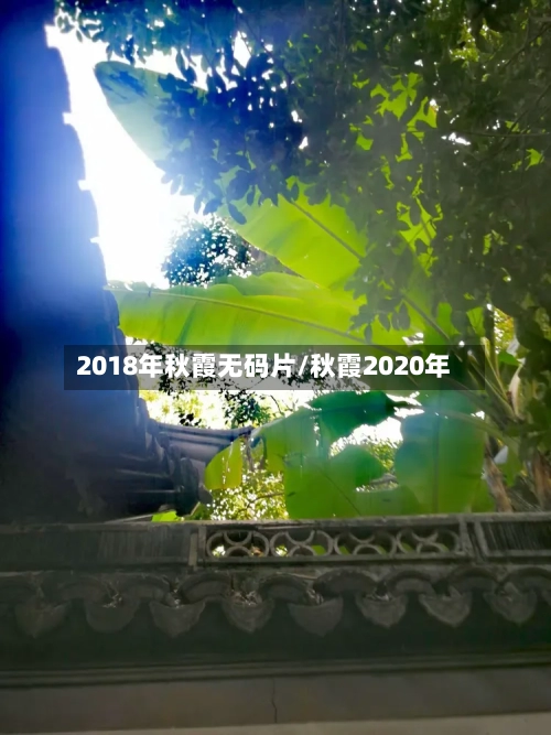 2018年秋霞无码片/秋霞2020年-第2张图片