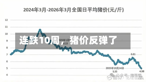 连跌10周，猪价反弹了-第3张图片